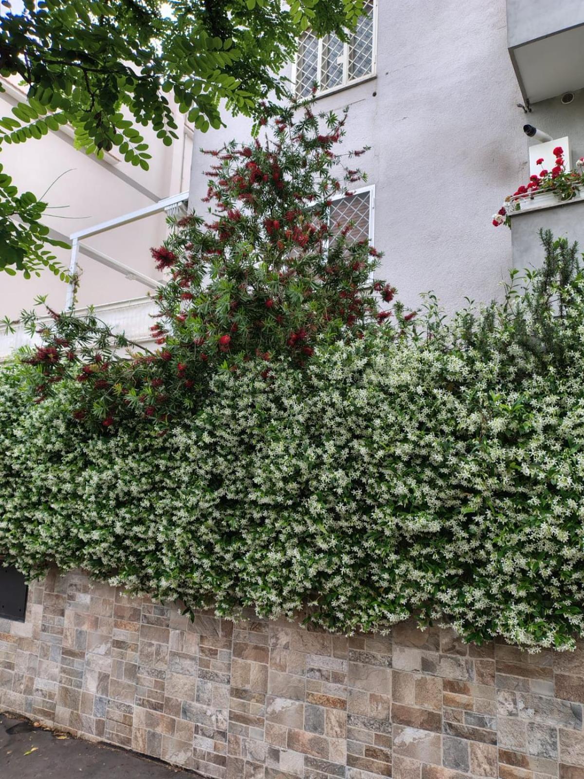 Il Pozzo Apartment Roma Exterior foto